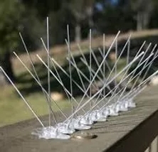 Bird Spikes