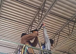 Exclusion Deterrent Systems: Bird Control Services