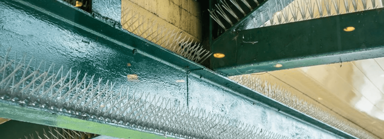 Structural Deterrents Bird Exclusion & Population Management: Bird Control Services