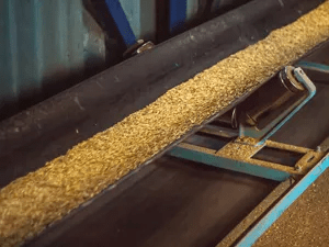 Food Processing
