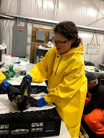Emergency Response to Wildlife Challenges in Oil Refinery Emergency Response to Wildlife Challenges in Oil Refinery