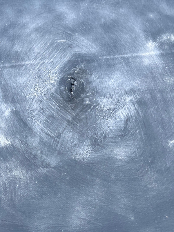 Damage caused by killdeer