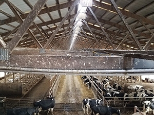 Dairy farm