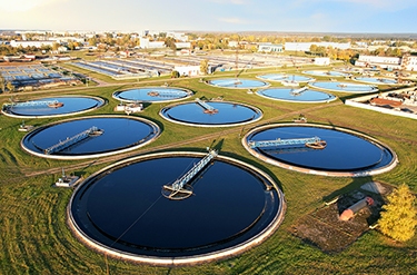 Water Treatment Plant Bird Control Service Waste water treatment plant