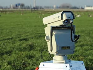 Bird Laser Control