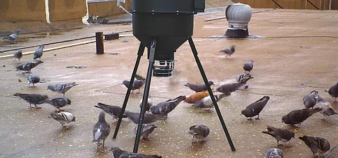 Ovocontrol Ovocontrol