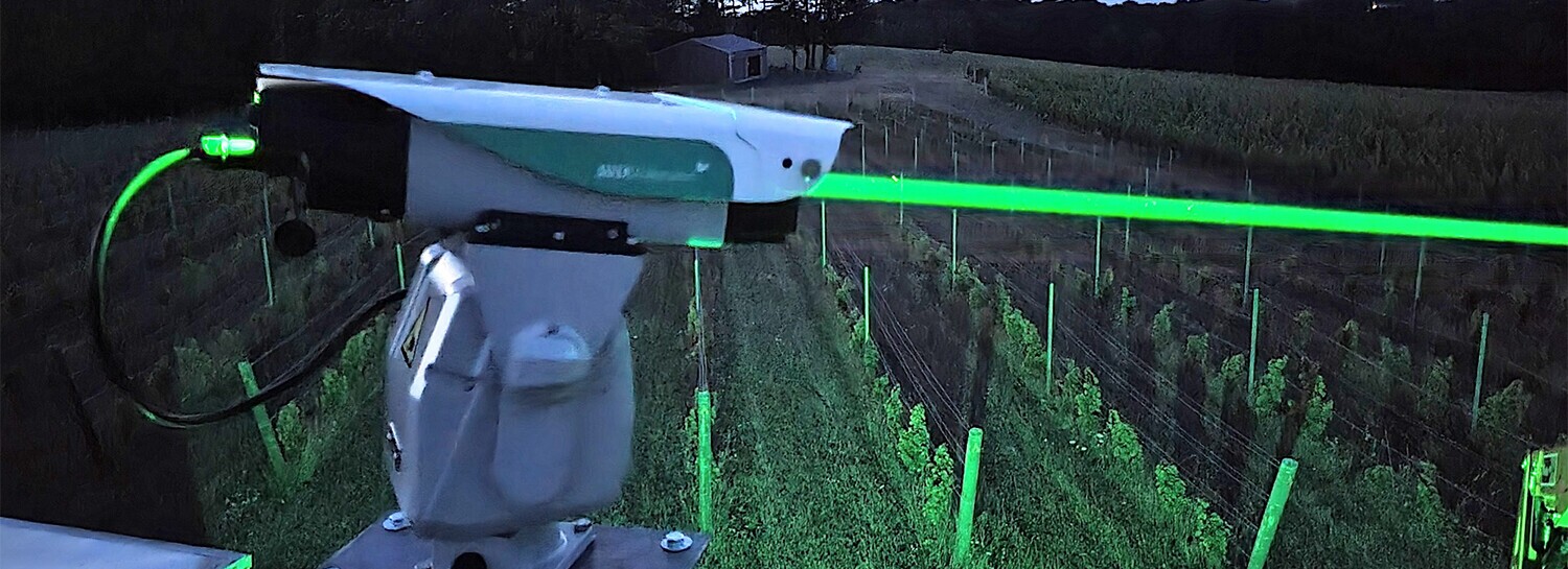 bird control services