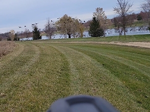 Outdoor park