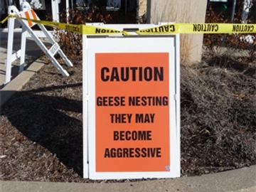 Goose Control Sign
