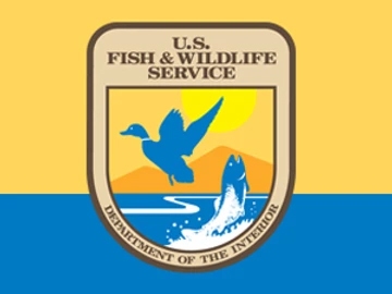 Protect Yourself from Protected Birds Protect Yourself from Protected Birds