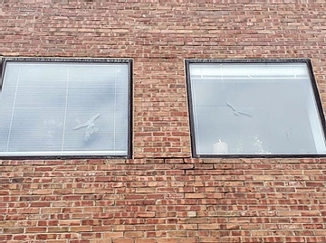 Preventing Window Collisions & Death Of Migratory Birds Preventing Window Collisions & Death Of Migratory Birds