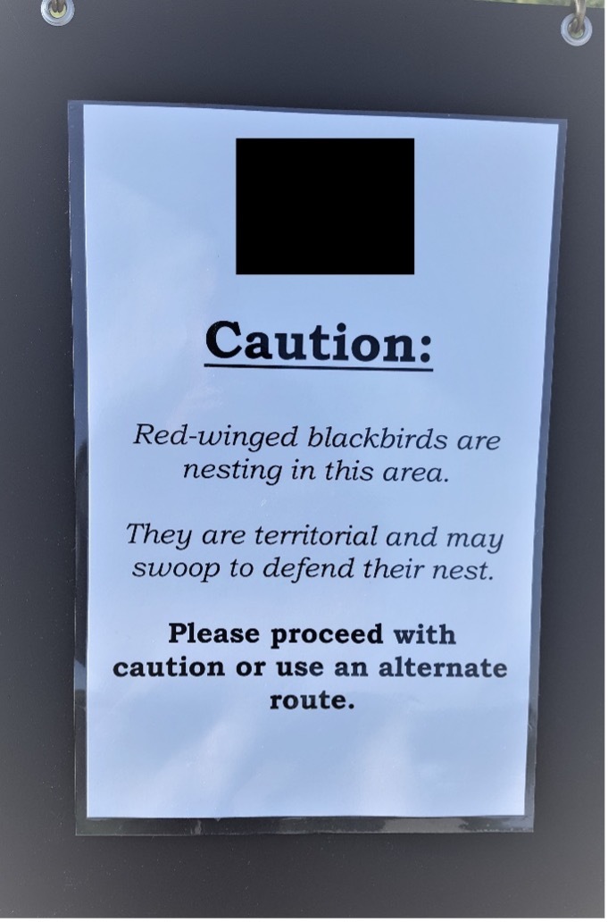 Red-Winged Blackbird Sign Red-Winged Blackbird Sign
