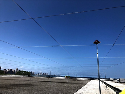 Bird Netting
