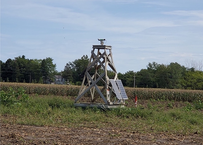 Mounted bird laser