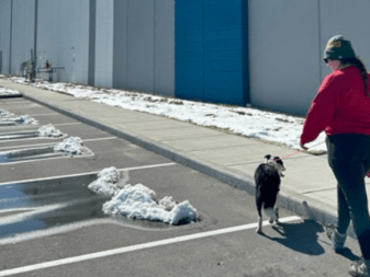 dog handling: Geese Deterrent Systems