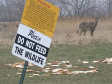 Managing Birds is a Community Affair